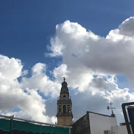 Seneca Córdoba
