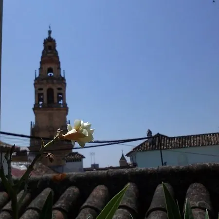 Seneca * Cordoba