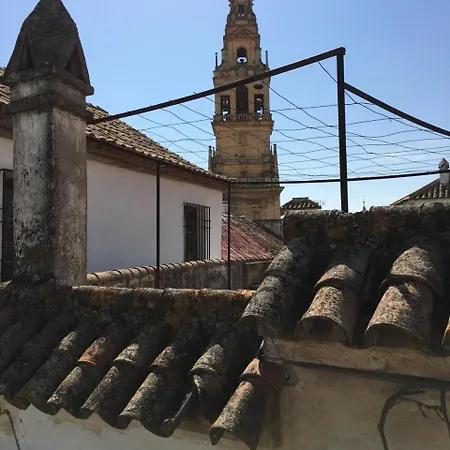 Seneca Apartment Cordoba